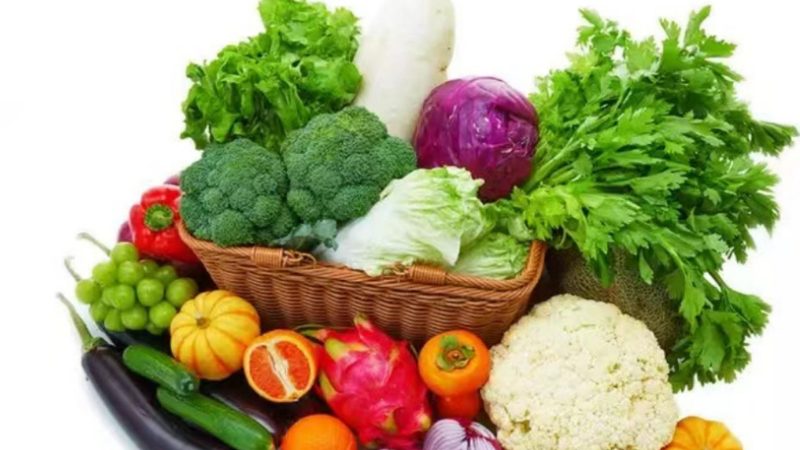 儿童零食批发一手货源代理
